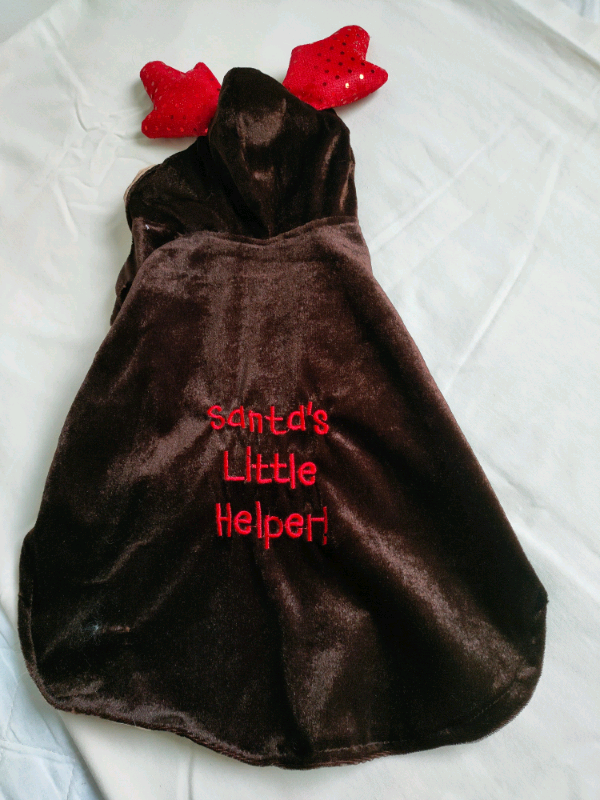 santa's little helper dog costume